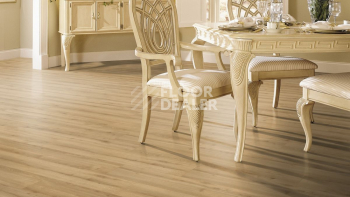 My Floor Cottage широкая 8мм Дуб Дуэро MV899 фото 5 | FLOORDEALER